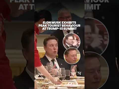 Elon Musk exhibits peak tourist behaviour at Trump-Xi summit