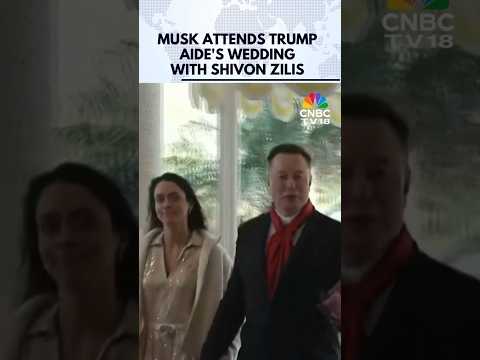 Elon Musk Attends Trump Aide's Dan Scavino Wedding with Shivon Zilis at Mar-a-Lago Club | N18G