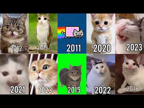 WHERE ARE THE LEGENDARY CAT MEMES NOW?💔 (THEN VS NOW)