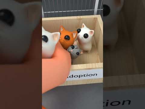 Kitty adoption shelter😿🐈 #animation  #adoption #cats
