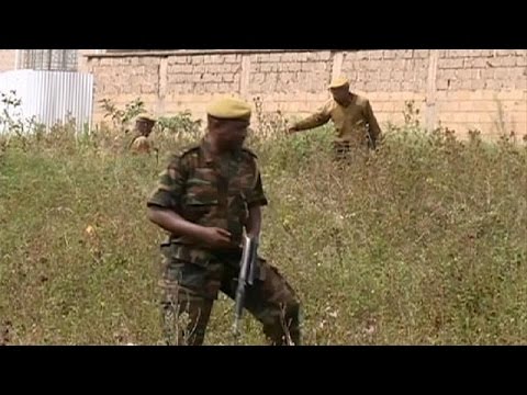 Kenya'da parktan kaçan aslanlar geri döndü