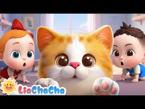 Meow! The Cat Song | Kitty Cat Coco Song | Nursery Rhymes &amp; Kids Songs | LiaChaCha