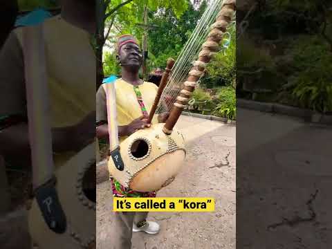Chillin’ with my kora - West African musical instrument