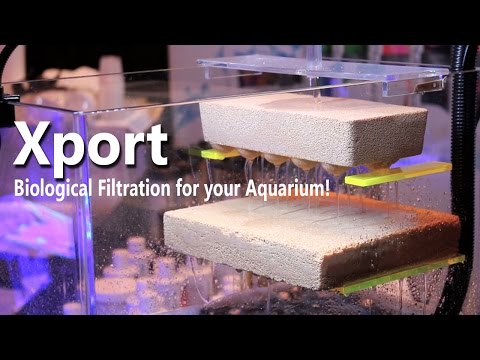 Brightwell Aquatics Xport BRICKS at Reefapalooza!