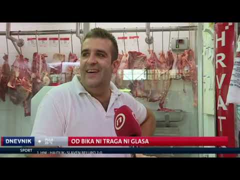 Dnevnik: Bik Jerry je pobjegao iz klaonice