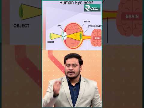 Neuralink Blindsight: How Elon Musk Plans to Restore Human Vision | R Stream