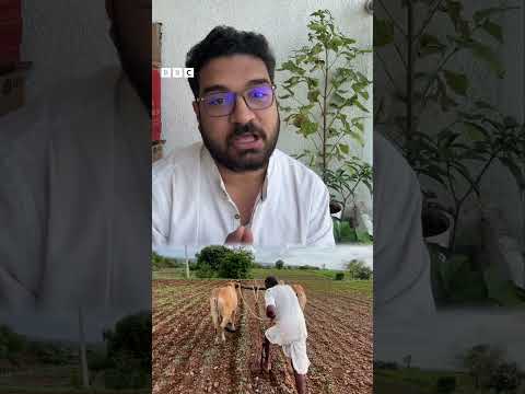 ‘ट्रिगर-1’ म्हणजे काय? | BBC News Marathi
