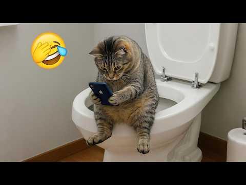 Funniest Cats and Dogs Clips 2026😼🐶Try Not To Laugh😜 Part 1