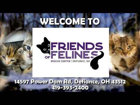 Friends of Felines Rescue Center (FFRC)