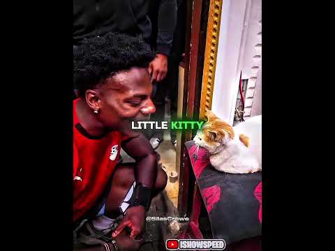 A Random Cat in Egypt Just Changed IShowSpeed’s Mood. 🤣 #ishowspeed #shorts #edit #cat