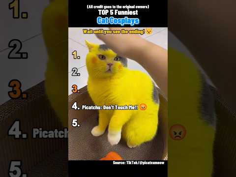 Top 5 Funniest Cat Cosplays Ever! 🐱🎭 #shorts