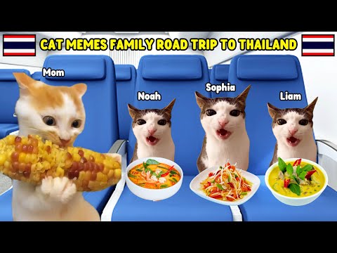 CAT MEMES FAMILY ROAD TRIP TO THAILAND