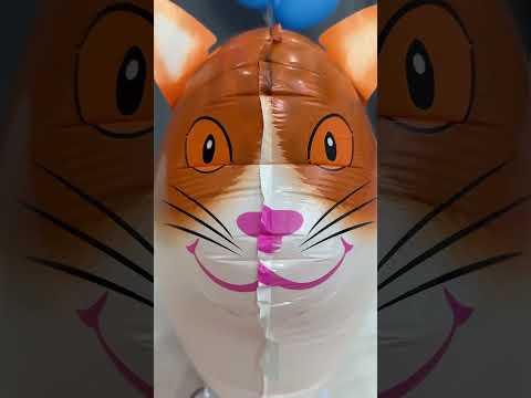 Love Story💙 #cat #cats