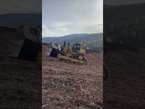 New D9 dozer on retreat to shove up another blade full of ‘hog fuel’ (tree bark and other tree bits)