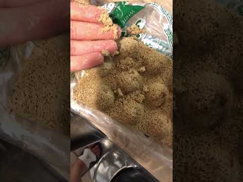 BRIGHTWELL AQUATICS Bio Brick Please Don’t Buy It