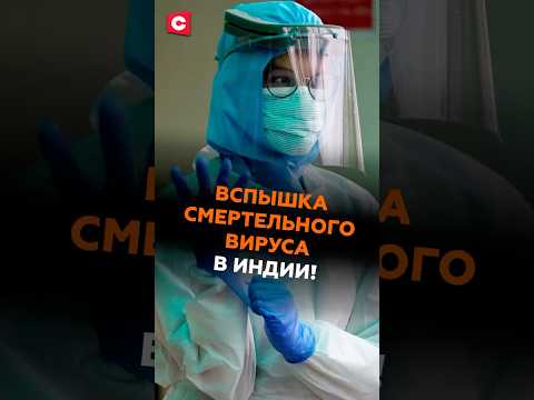 Ни вакцины, ни лечения! Вспышка смертельного вируса Нипах в Индии! #индия #чп #вирус #медицина