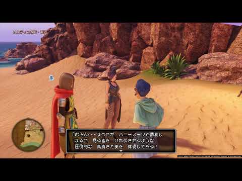 ドラゴンクエストXI　過ぎ去りし時を求めて_バニーちゃん