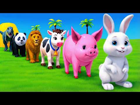 Warm November Jazz Music for Working,Great Mood 🍂 Peaceful Fall Morning at Cozy Coffee Shop Ambience