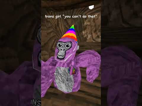 no hate towards tran people just a short #k9 #gorillatag #edit #oculusquest #linkz #quest #gorilla