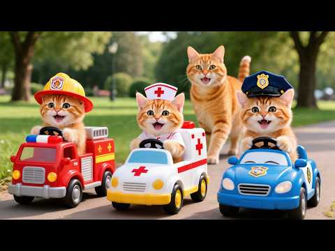 Mama Cat Trims Fur on the Farm and Makes Tiger Hat For Kittens At Home🐾🎩🐯