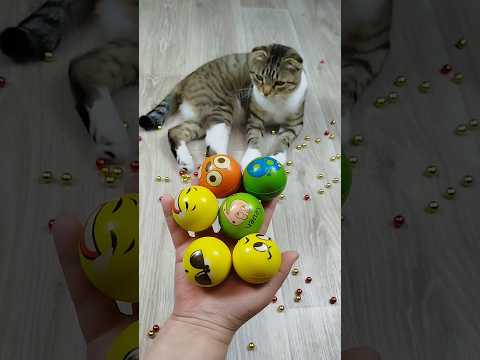 Balls 😁🐱 Cat Barsik Reverse Video #funnyreversecat #cat #catfunny #funny #funnyreverse #kitten