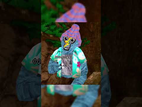 Linkz Comeback? #edit #editz  #vr #gtag #gorillatagvr #gorillatagquest #gtag #gtagedit
