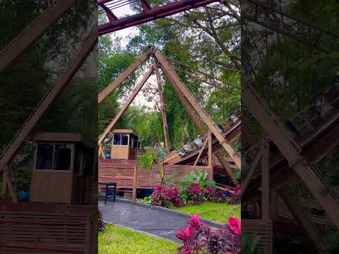 Kora-kora Perahu Kayu 🤩🤩🤩🤩🤩 #korakora #korakoradragon