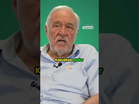 Kapuska Hakkında Eğlenceli Bir Tartışma