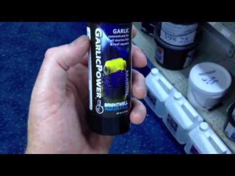 Increase immune system with brightwell garlic powder!