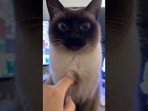 Carefully Calculated All The Factors 😂