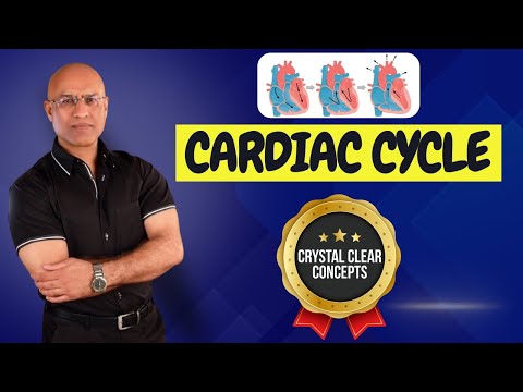 Cardiac Cycle | Cardiology | Systole &amp; Diastole | Cardiovascular🫀