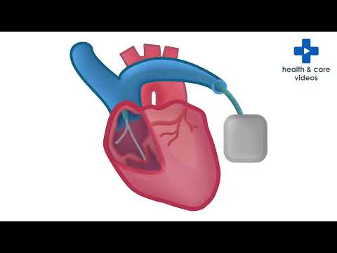 What is Cardiology?