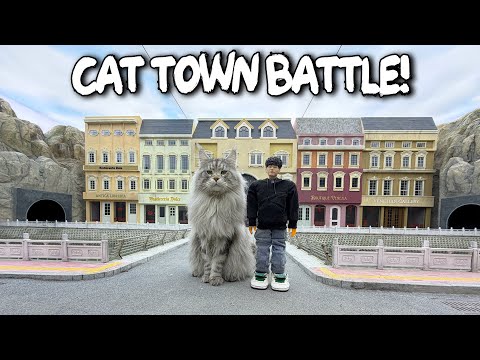 The Cat Town Battle - Mr. Nice vs Tutu