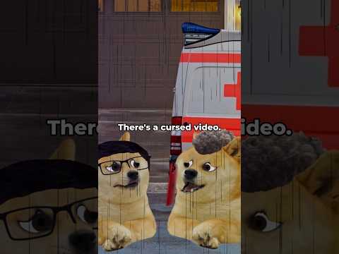 doge watches a cursed video