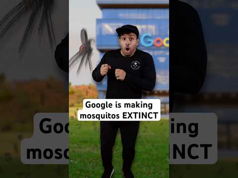 Google is making Mosquitos EXTINCT.
