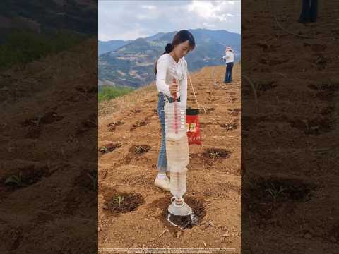 The funnel is the key: How this simple trick prevents seedling burn forever