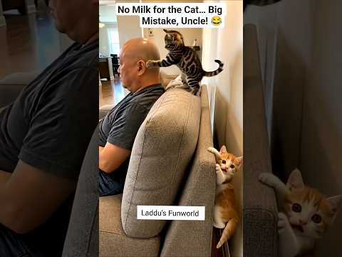 Why Did the Cat Attack Uncle? 😳😂 #funny #cat #trending