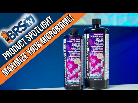 Clean, Feed &amp; Stabilize Your Reef Tank! Brightwell MicroBacter Purple M