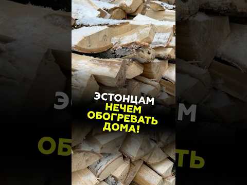 В Эстонии ДЕФИЦИТ ДРОВ! #эстония #новости #политика #безработица