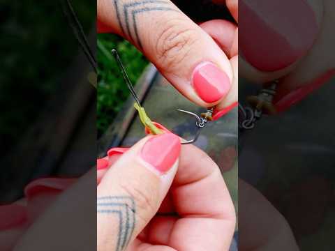 Easy To Tie Big Carp Combi Rig 🪝 — No Knots 🪢 Needed! LINKZ 🔗 N’ Loops ➰ #carpfishing #carprigs