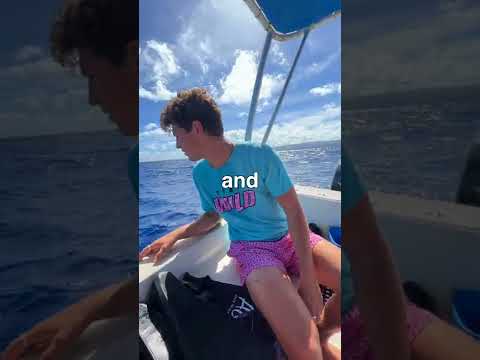 Can Sharks Smell A Drop Of Blood?