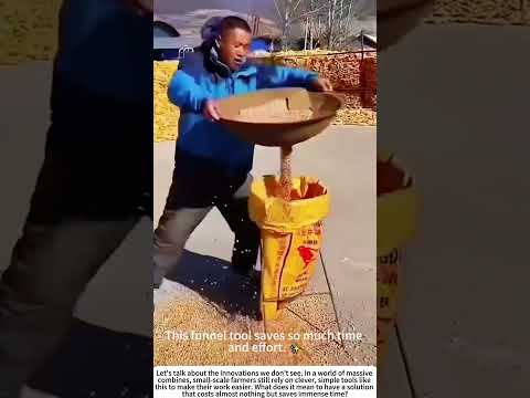 Speed Bagging: Loading Sun-Dried Rice with a Funnel Tool 🌾🔄