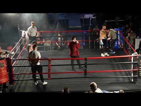 David White Rhino Allen  Live Stream