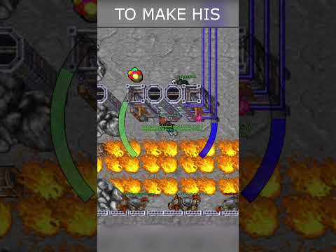 TIBIA - BOT in 2023 - How to get top dist? #shorts