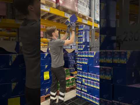 5 Arten von Logistik-Kollegen 😃